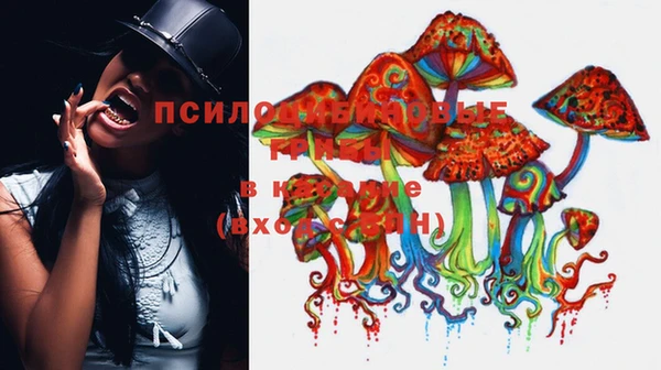 винт Балахна