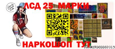 амф Камышлов
