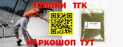 гашик Канаш