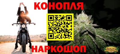 амф Камышлов