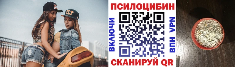 Псилоцибиновые грибы Magic Shrooms Нерюнгри
