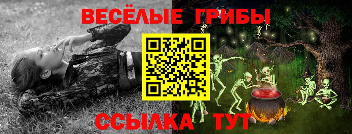 Псилоцибиновые грибы Cubensis  Галлюциногенные грибы GOLDEN TEACHER  Вход с VPN  Нерюнгри 